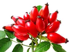 Beneficios de Aceite de Rosa Mosqueta Pura - Rosácea en la piel